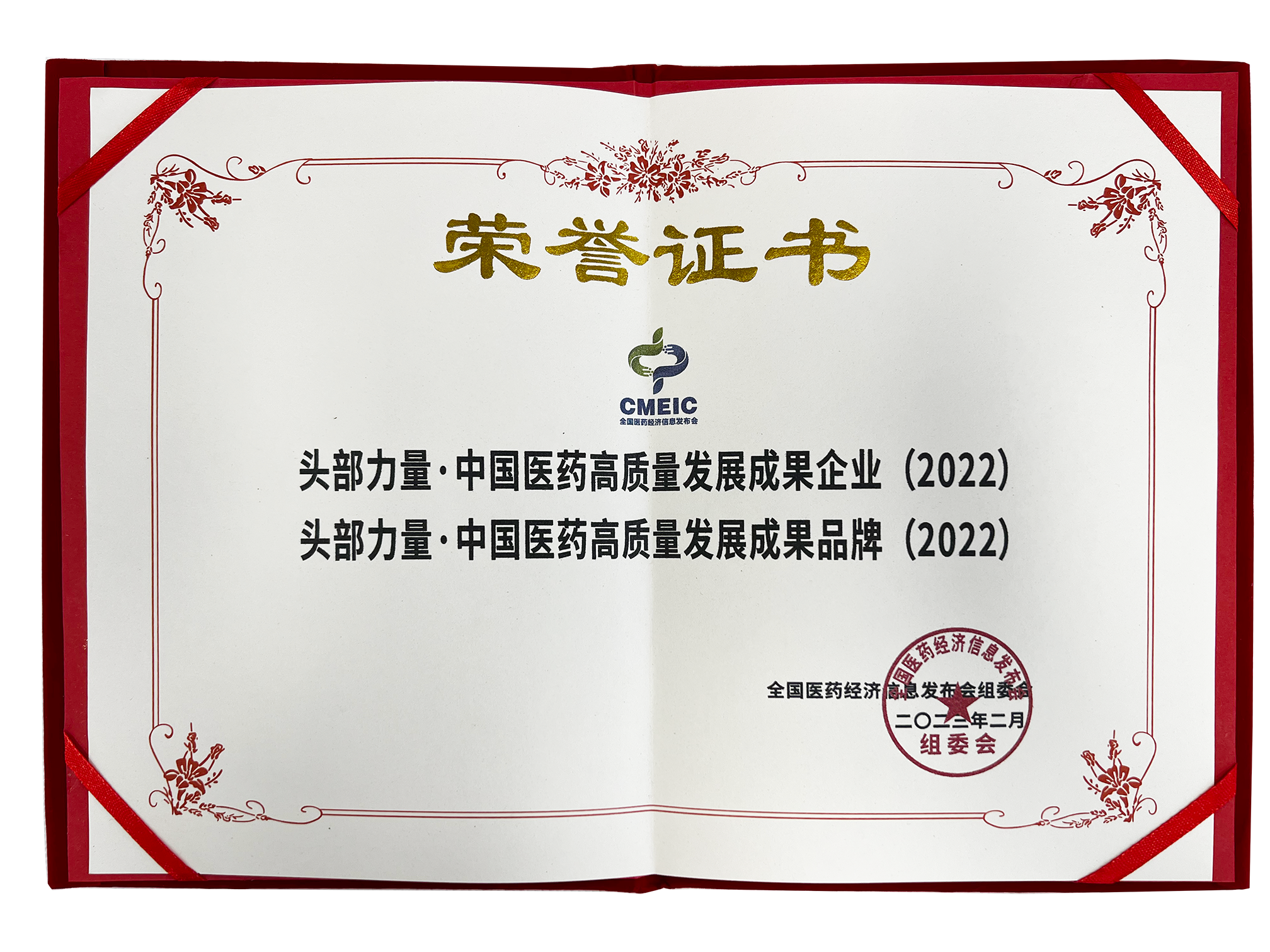 頭部力量·中國醫藥高質量發展成果企業/成果品牌